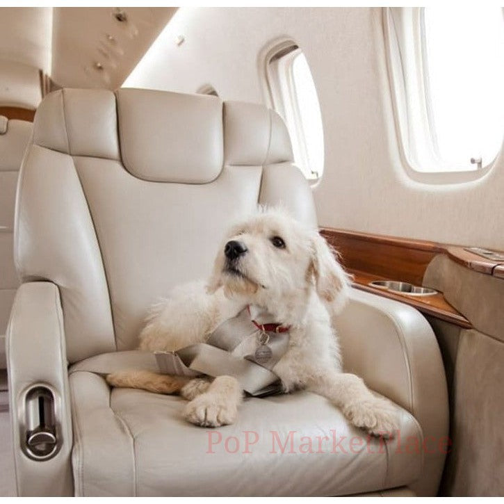 Empty Leg Flights Charter private jet last minute discount Global Airjet