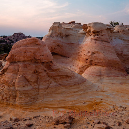 Company formation New Mexico, USA Global Group llc