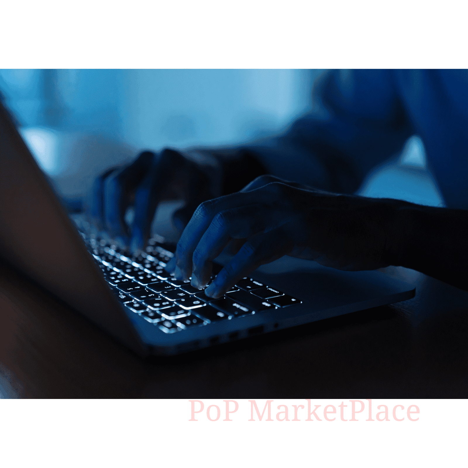 PenTest Penetration Testing Service Web Apps less days GA Political
